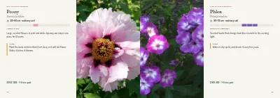 Pages 22–23 of Plant handbook of perennials – 96 pages