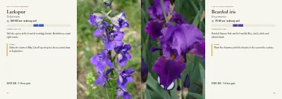 Pages 24–25 of Plant handbook of perennials – 96 pages
