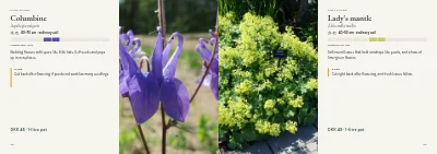 Pages 32–33 of Plant handbook of perennials – 96 pages