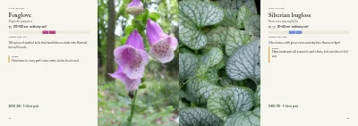 Pages 34–35 of Plant handbook of perennials – 96 pages