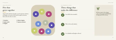Pages 38–39 of Plant handbook of perennials – 96 pages