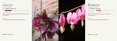 Pages 42–43 of Plant handbook of perennials – 96 pages