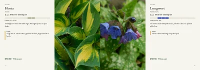 Pages 44–45 of Plant handbook of perennials – 96 pages