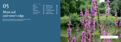 Pages 50–51 of Plant handbook of perennials – 96 pages