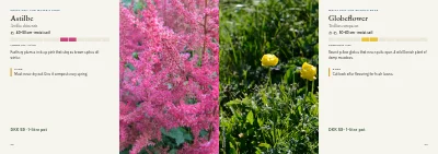 Pages 52–53 of Plant handbook of perennials – 96 pages