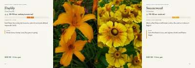 Pages 54–55 of Plant handbook of perennials – 96 pages