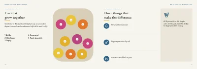 Pages 58–59 of Plant handbook of perennials – 96 pages