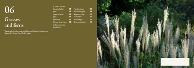 Pages 60–61 of Plant handbook of perennials – 96 pages