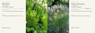 Pages 64–65 of Plant handbook of perennials – 96 pages