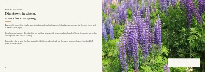 Pages 6–7 of Plant handbook of perennials – 96 pages