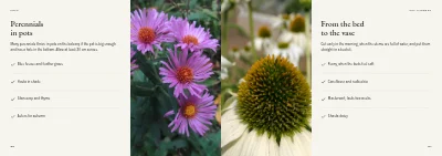 Pages 88–89 of Plant handbook of perennials – 96 pages