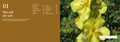 Pages 10–11 of Plant handbook of perennials – 96 pages