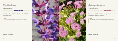 Pages 14–15 of Plant handbook of perennials – 96 pages