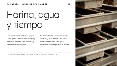 Página 3 de Curso de masa madre — pan sin prisas