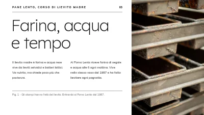 Pagina 3 di Corso sul lievito madre — pane lento