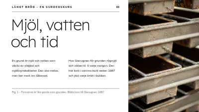 Sida 3 av Surdegskurs — långsamt bröd