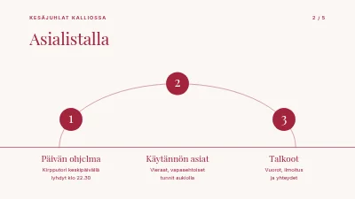 Sivu 2 – Kesäjuhla — ohjelma ja suunnitelma