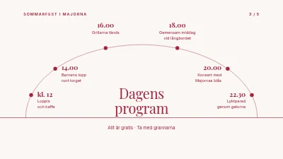 Sida 3 av Sommarfest — program och plan