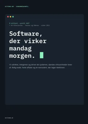 Virksomhedsprofil for IT-konsulenthus – 16 sider