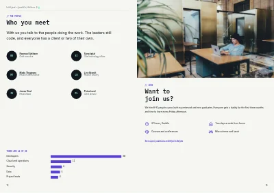 Pages 12–13 of Company profile for an IT consultancy – 16 pages