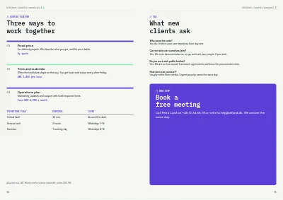 Pages 14–15 of Company profile for an IT consultancy – 16 pages