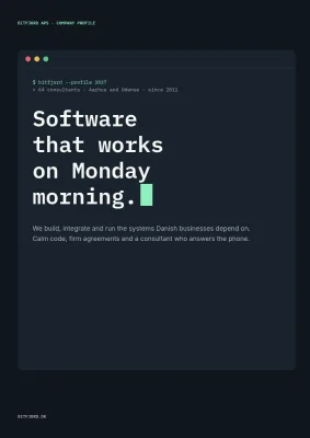 Company profile for an IT consultancy – 16 pages