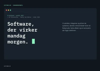 Virksomhedsprofil for IT-konsulenthus – 16 sider