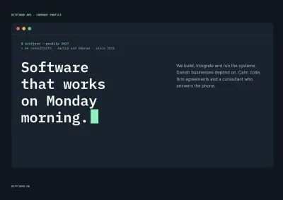 Company profile for an IT consultancy – 16 pages