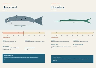 Side 8–9 af Guide til lystfiskeri i fjorden – 20 sider