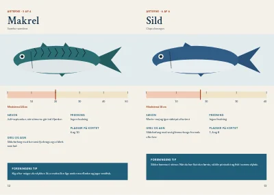 Side 12–13 af Guide til lystfiskeri i fjorden – 20 sider