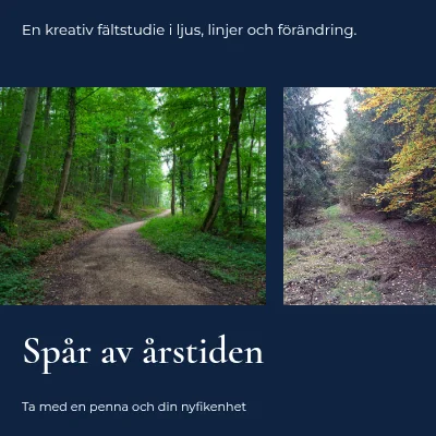 Spår av säsongen · panorama serif