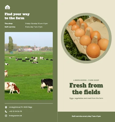 Farm shop with eggs and vegetables