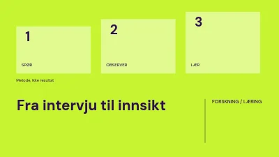 Fra intervju til innsikt