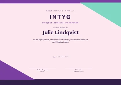 Kursintyg — projektledning
