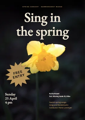 Spring concert — daffodil and gold burst