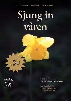 Vårkonsert — en explosion av påskliljor och guld