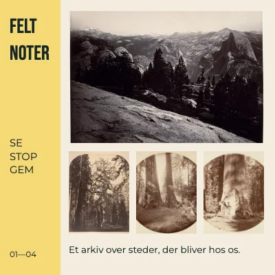 Den vilde notesbog