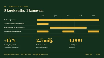 Sivu 6 – Matkailukampanja — Skagen talvella