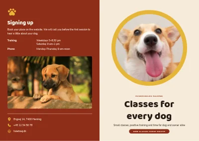 Dog school: classes and prices