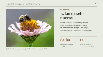 Página 4 de Agricultura sostenible — los campos y el Estrecho