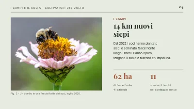 Pagina 4 di Agricoltura sostenibile — i campi e l'Øresund