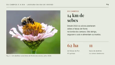 Página 4 de Agricultura sustentável — os campos e o Øresund