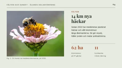 Sida 4 av Hållbart jordbruk — fälten och Sundet