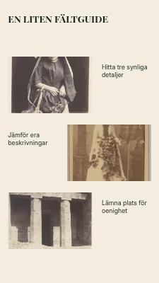 Sida 2 av Ett porträtt, flera tolkningar · Hörnstudie