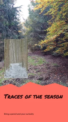 Traces of the season · cut paper essay