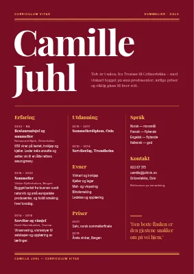 CV for sommelier — vinmagasin