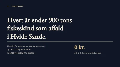 Side 2 af Investorpitch — startup fra Vestkysten