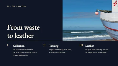 Page 3 of Investor pitch — west coast startup