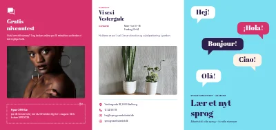 Sprogskole: hold og niveauer
