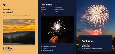 Nytårsgalla